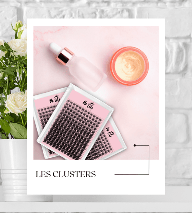 LES CLUSTERS 